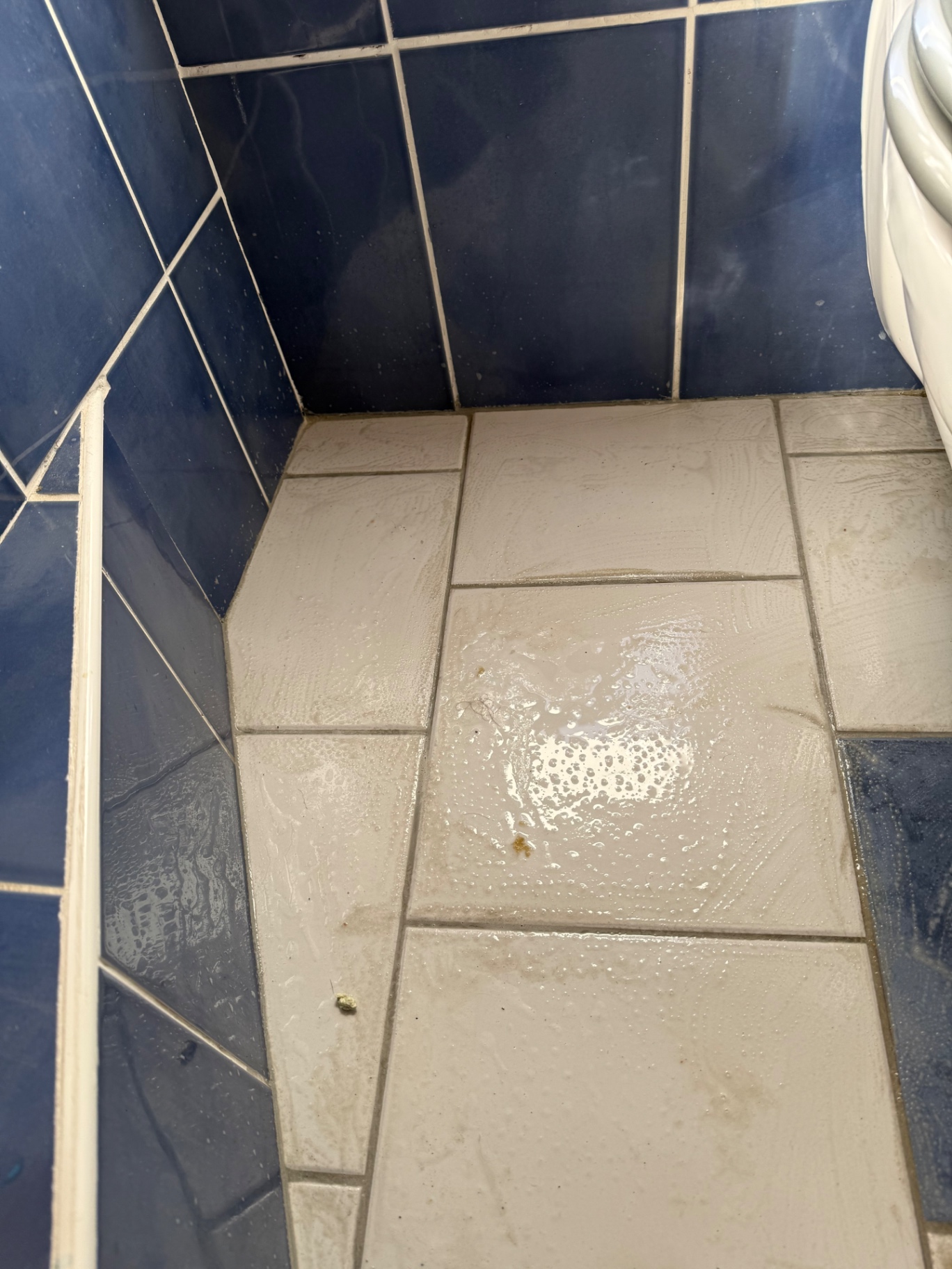 Vuile sanitairvloer met aanslag